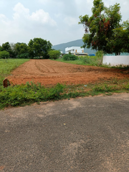  Agricultural Land for Sale in A. Vellalapatti, Madurai