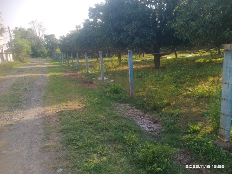  45000 Sq.ft. Residential Plot for Sale in Padra, Vadodara