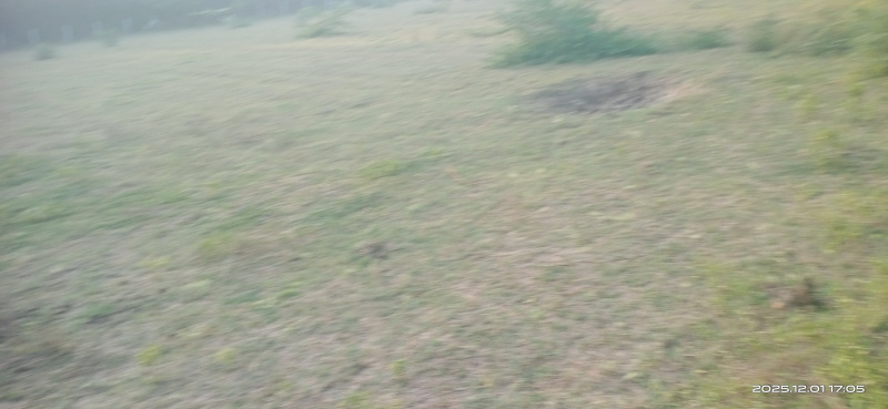  80000 Sq.ft. Industrial Land for Sale in Manjusar, Vadodara