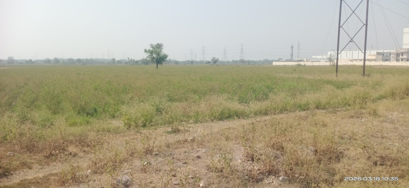  200000 Sq.ft. Industrial Land for Sale in Jarod, Vadodara