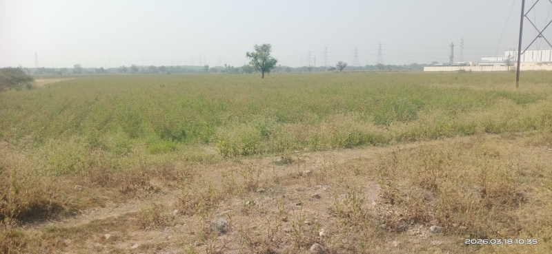  200000 Sq.ft. Industrial Land for Sale in Jarod, Vadodara