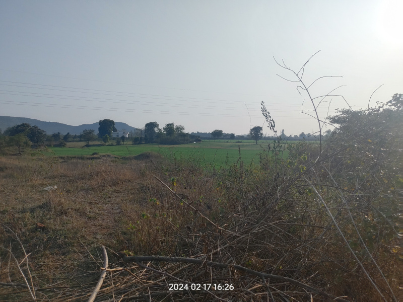  Agricultural Land 3 Acre for Sale in Barela, Jabalpur