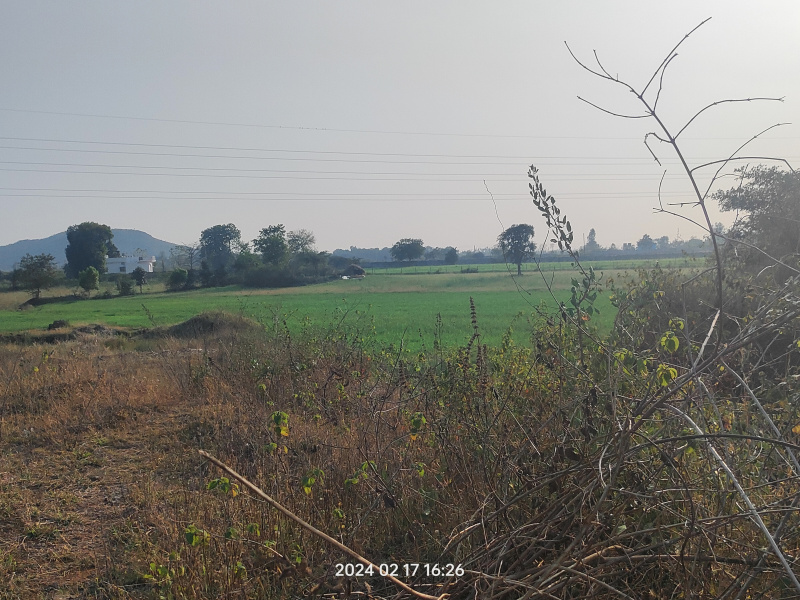  Agricultural Land 3 Acre for Sale in Barela, Jabalpur