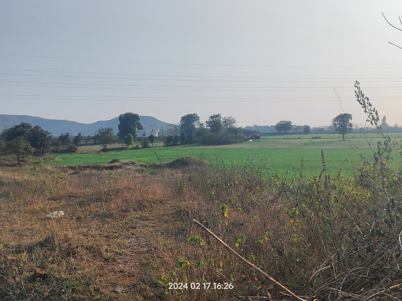  Agricultural Land 3 Acre for Sale in Barela, Jabalpur