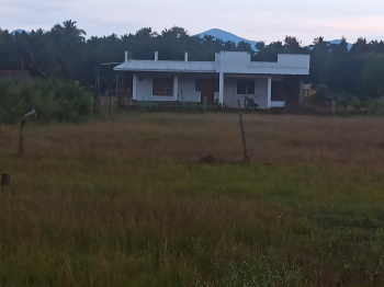  Agricultural Land for Sale in Karwar, Uttara Kannada