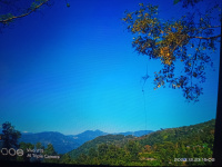  Agricultural Land for Sale in Pulbazar, Darjeeling