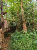 1 BHK House for Sale in Kanjirappally, Kottayam