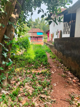 1 BHK House for Sale in Vadanappally, Thrissur