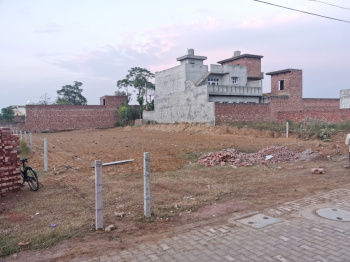  Residential Plot for Sale in Bhawanigarh, Sangrur