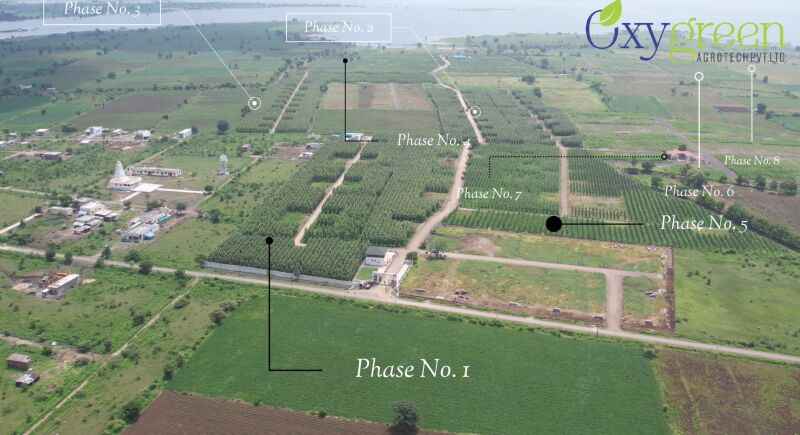 2 BHK Farm House 11000 Sq.ft. for Sale in Butibori, Nagpur