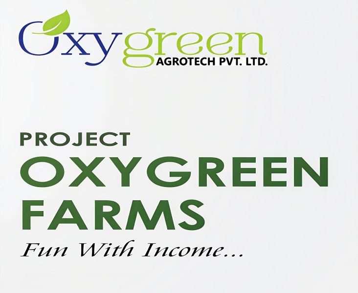 2 BHK 11001 Sq.ft. Farm House for Sale in Butibori, Nagpur