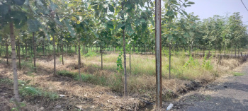 1 RK Farm House for Sale in Butibori, Nagpur