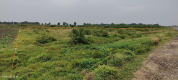  Agricultural Land for Sale in Kariapatti, Virudhunagar