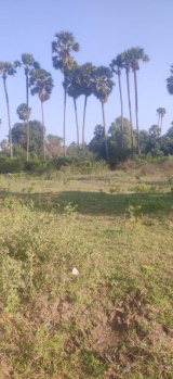  Agricultural Land for Sale in Achutapuram, Visakhapatnam