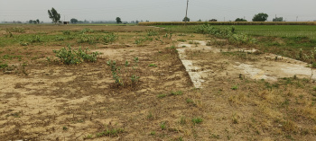  Commercial Land for Sale in Halwara, Ludhiana