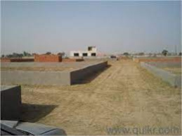 Residential Plot 1000 Sq.ft. for Sale in Katra, Allahabad