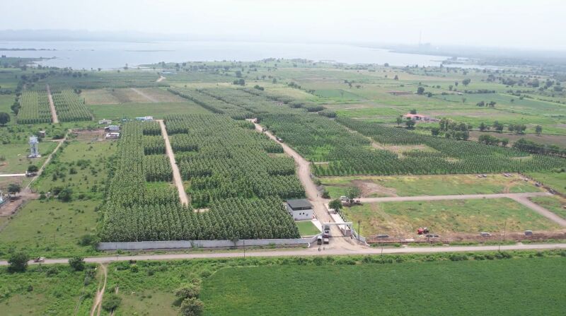  Agricultural Land 11000 Sq.ft. for Sale in Butibori, Nagpur