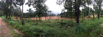  Agricultural Land for Sale in Beltangadi, Dakshin Kannad