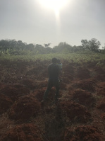  Agricultural Land for Sale in Marthandam, Kanyakumari