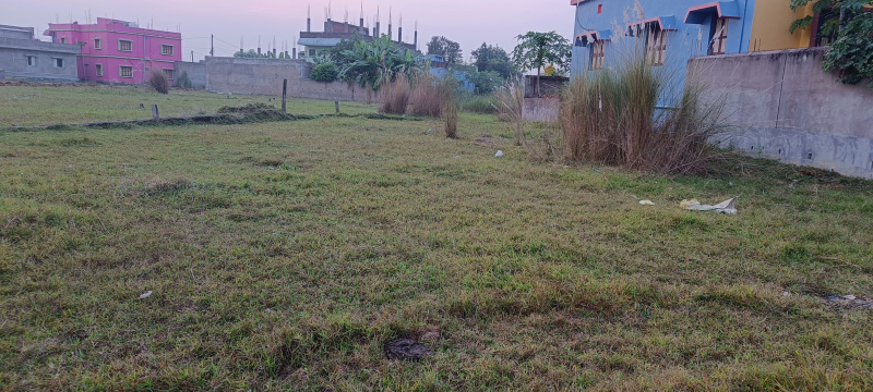  Residential Plot 9 Dismil for Sale in Udala, Mayurbhanj