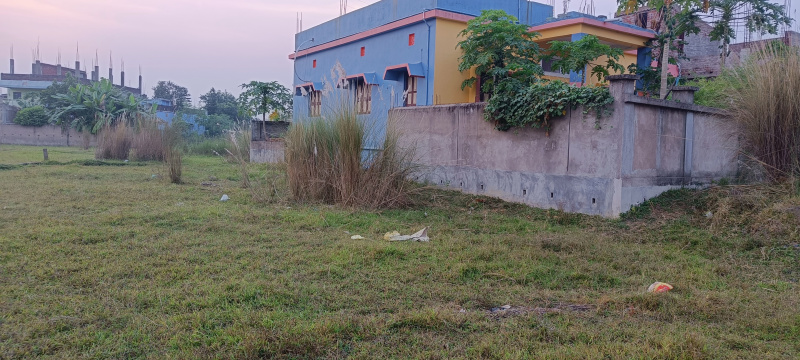  Residential Plot 9 Dismil for Sale in Udala, Mayurbhanj