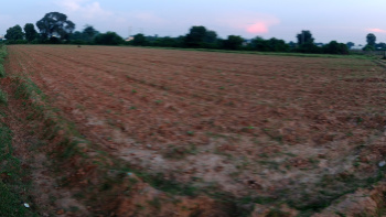  Agricultural Land for Sale in Naika, Kheda