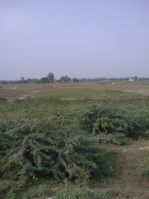  Agricultural Land for Sale in Mohanlalganj, Lucknow
