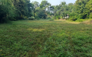  Commercial Land for Sale in Kollengode, Palakkad