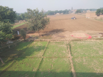  Agricultural Land for Sale in Asaoti, Faridabad