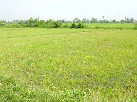  Agricultural Land for Sale in Hoshangabad Road, Bhopal