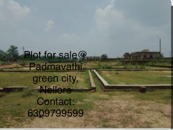  Residential Plot for Sale in Balaji Nagar, Nellore
