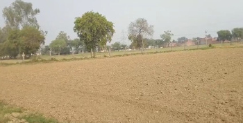  Agricultural Land for Sale in Bakewar, Etawah