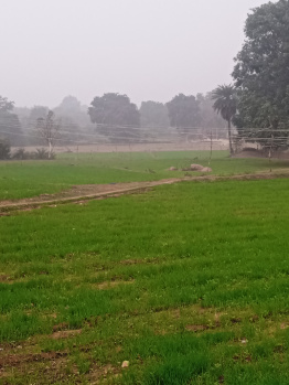  Agricultural Land for Sale in Khajuraho, Chhatarpur