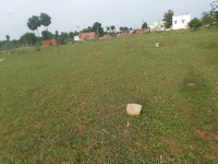  Residential Plot for Sale in Kalanivasal, Karaikudi