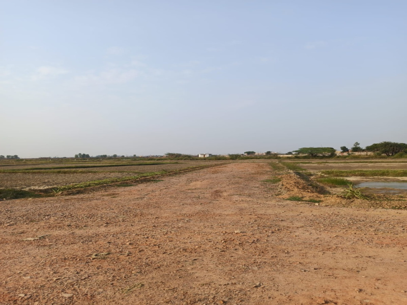  1219 Sq. Meter Commercial Land for Sale in Shastri Puram, Agra