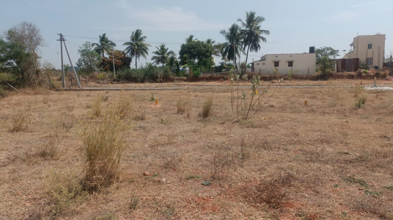  919 Sq. Meter Commercial Land for Sale in Shastri Puram, Agra