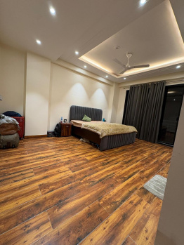 4.0 BHK Builder Floors for Rent in DLF Phase I, Gurgaon