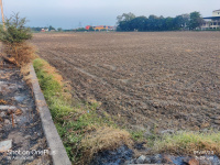  Agricultural Land for Rent in A B Road, Indore
