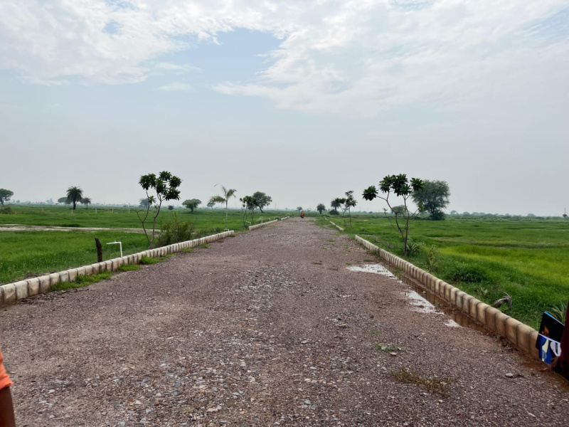  Residential Plot 900 Sq.ft. for Sale in Tappal, Aligarh