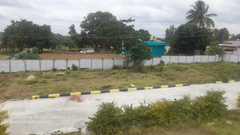  1200 Sq.ft. Residential Plot for Sale in Denkanikottai Road, Hosur