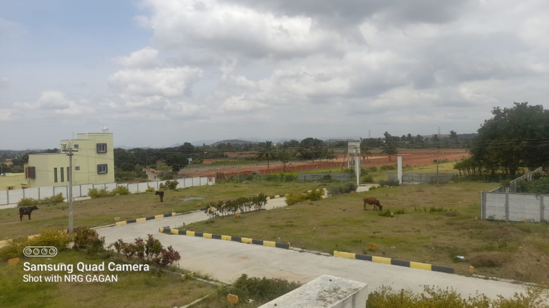  1200 Sq.ft. Residential Plot for Sale in Denkanikottai Road, Hosur