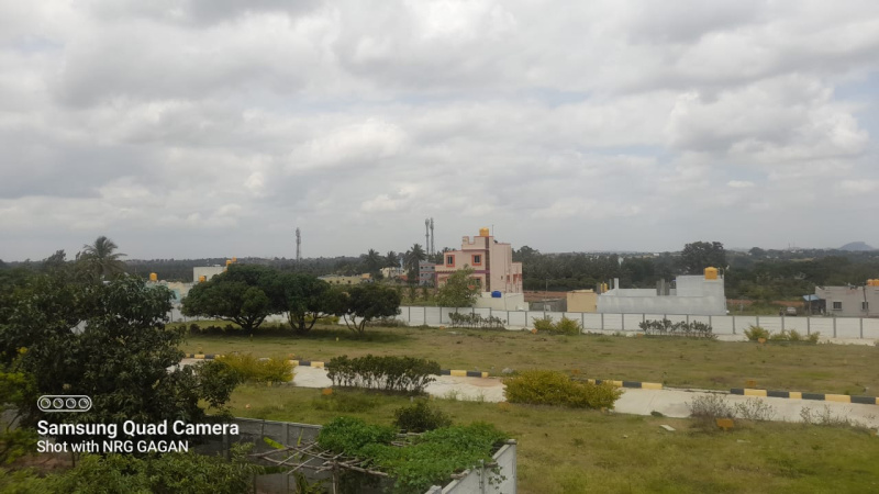  1200 Sq.ft. Residential Plot for Sale in Denkanikottai Road, Hosur