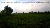  Agricultural Land for Sale in Arvi, Wardha