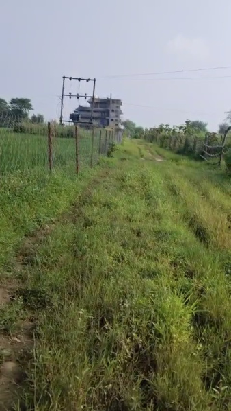  5 Acre Agricultural/Farm Land for Sale in Rampur Baghelan, Satna