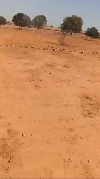  Agricultural Land for Sale in Mauganj, Rewa