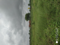 1 BHK Farm House for Sale in Ramnagar, Chandrapur