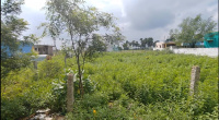 Residential Plot for Sale in Tenkasi, Tirunelveli