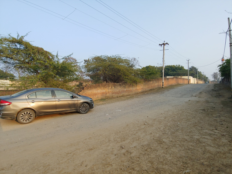  Agricultural Land 2100 Sq. Yards for Sale in Chattarpur Extension, Delhi