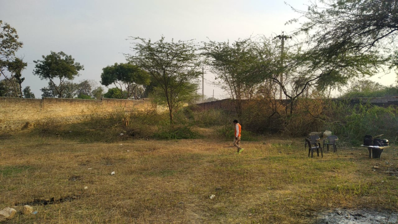  Agricultural Land 2100 Sq. Yards for Sale in Chattarpur Extension, Delhi