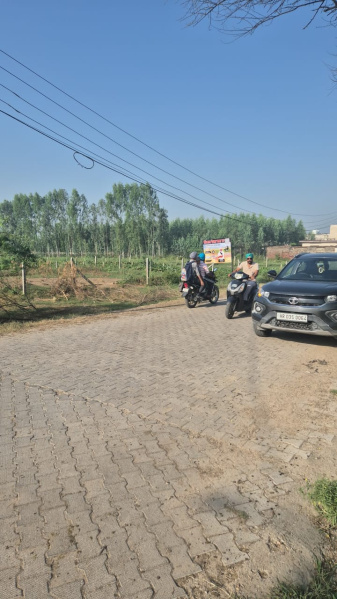  1573 Sq. Yards Agricultural/Farm Land for Sale in Baldev Nagar, Ambala